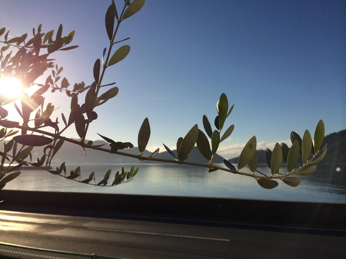 Shodoshima Olive Youth Hostel ภายนอก รูปภาพ