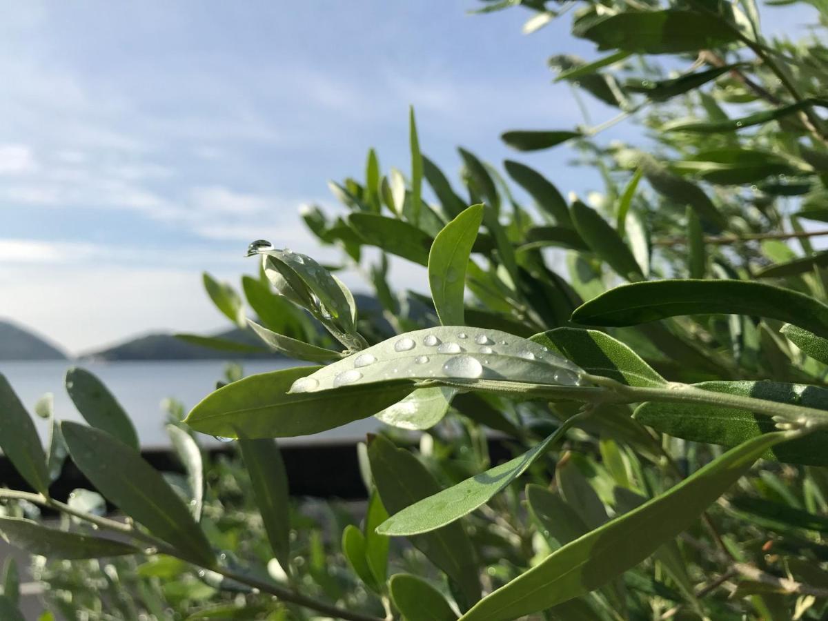 Shodoshima Olive Youth Hostel ภายนอก รูปภาพ